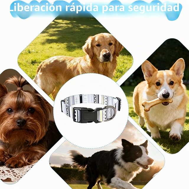Foto 7 de 7 de Collar Perro Ajustable Y Resistente con Hebilla De LiberacióN Rápida Algodón Suave