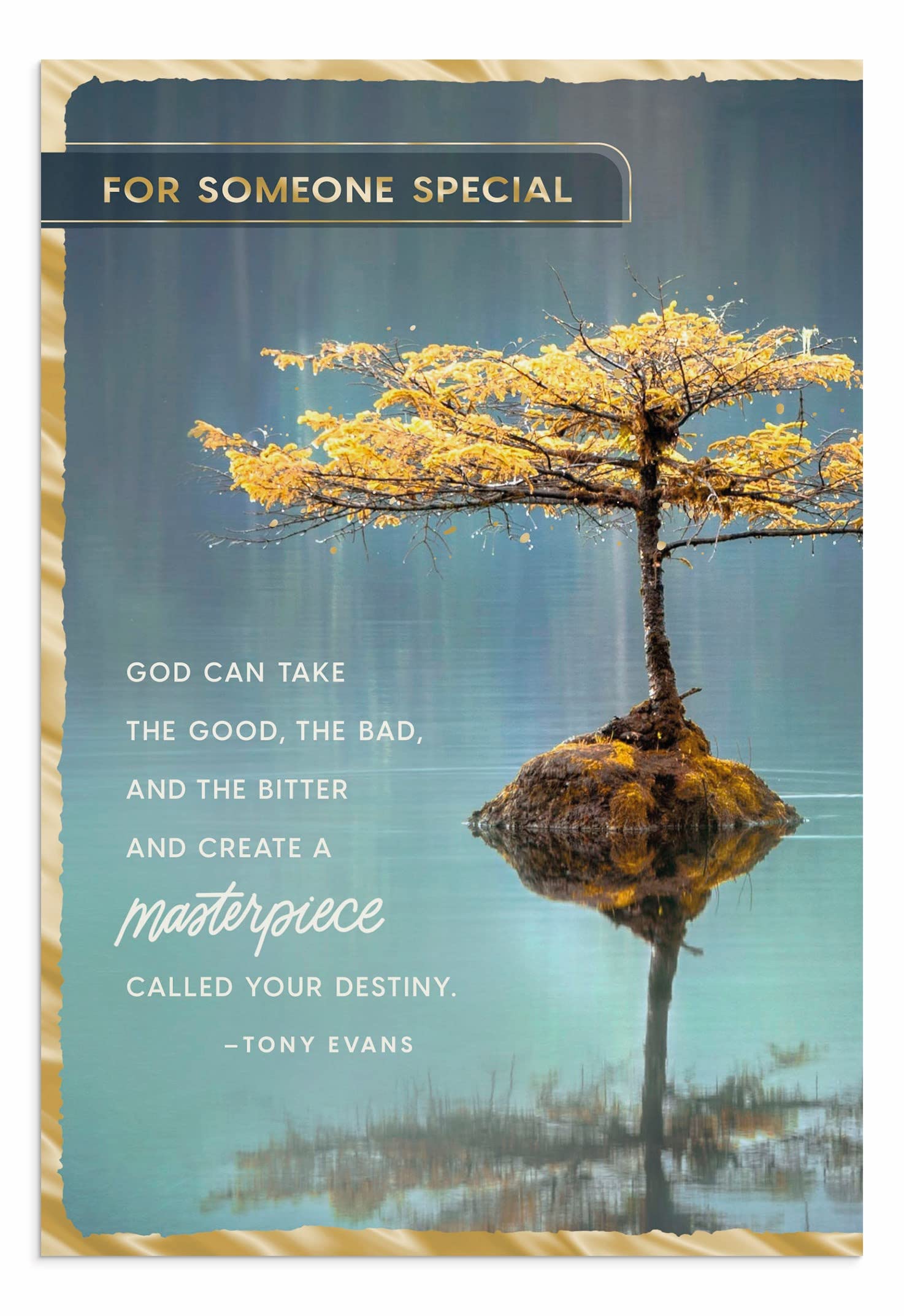 DaySpringTony Evans - Friendship - God Can Create a Masterpiece - 3 Premium Cards (U1051)