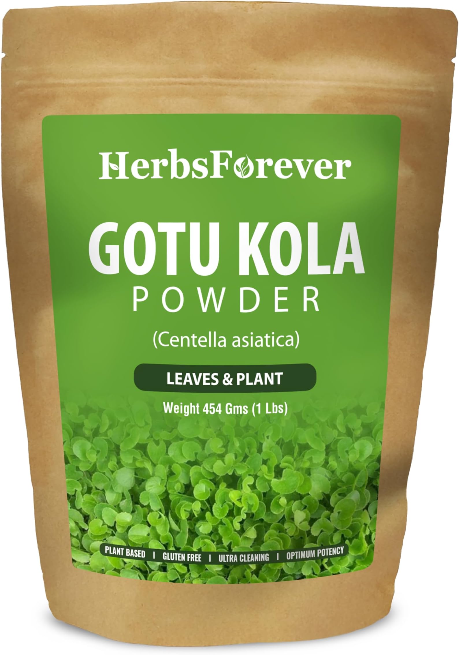 Herbsforever Gotu Kola Powder Centella asiatica Reducing Stress Enhance Memory & Focus Non GMO, Vegan 454 GMS