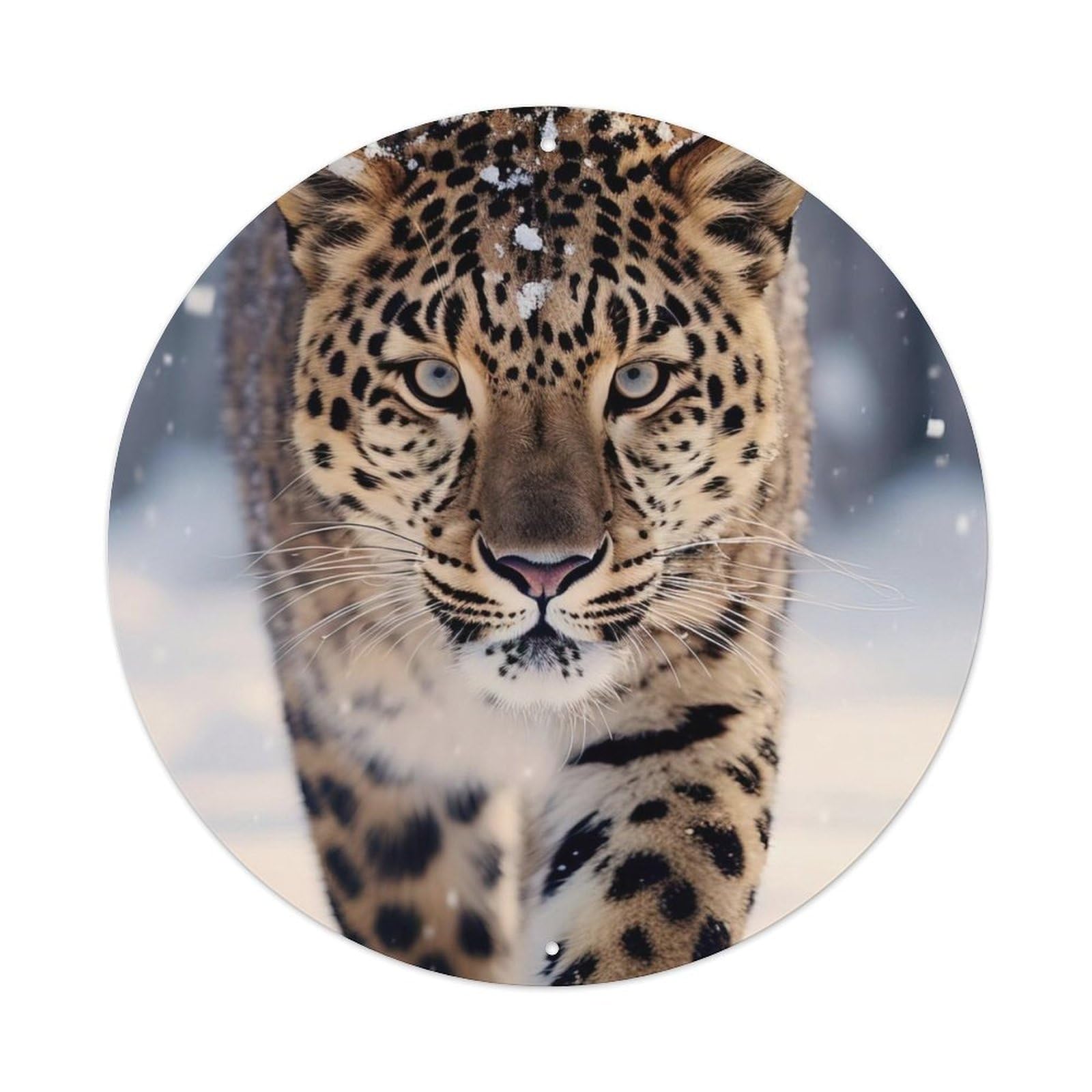 Far Eastern Leopard Wildlife Vintage Metal Tin Sign Plaque Wall Decor for Cafe, Club, Garden Round Metal Poster 8x8Inch