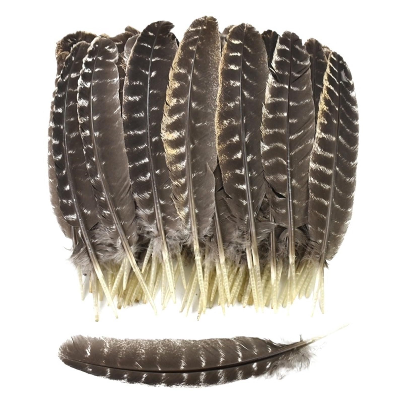 Chapeau artisanal en plumes d'aigle et d'oiseau, accessoires de décoration DIY(30-35CM 12-14Inch,10 Pcs)