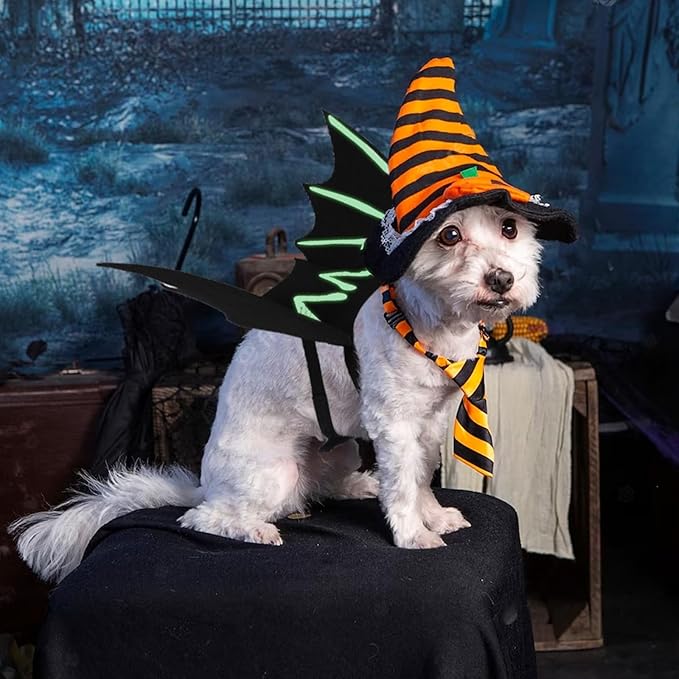 Disfraz de Murciélago para Halloween para Perros y Gatos Talla M miniatura 3