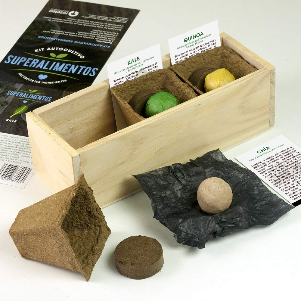Kit Autocultivo Superalimentos | Cultiva Chía, Kale y Quinoa en Casa | Ingredientes Naturales y Nutritivos | Regalo Original | Resetea
