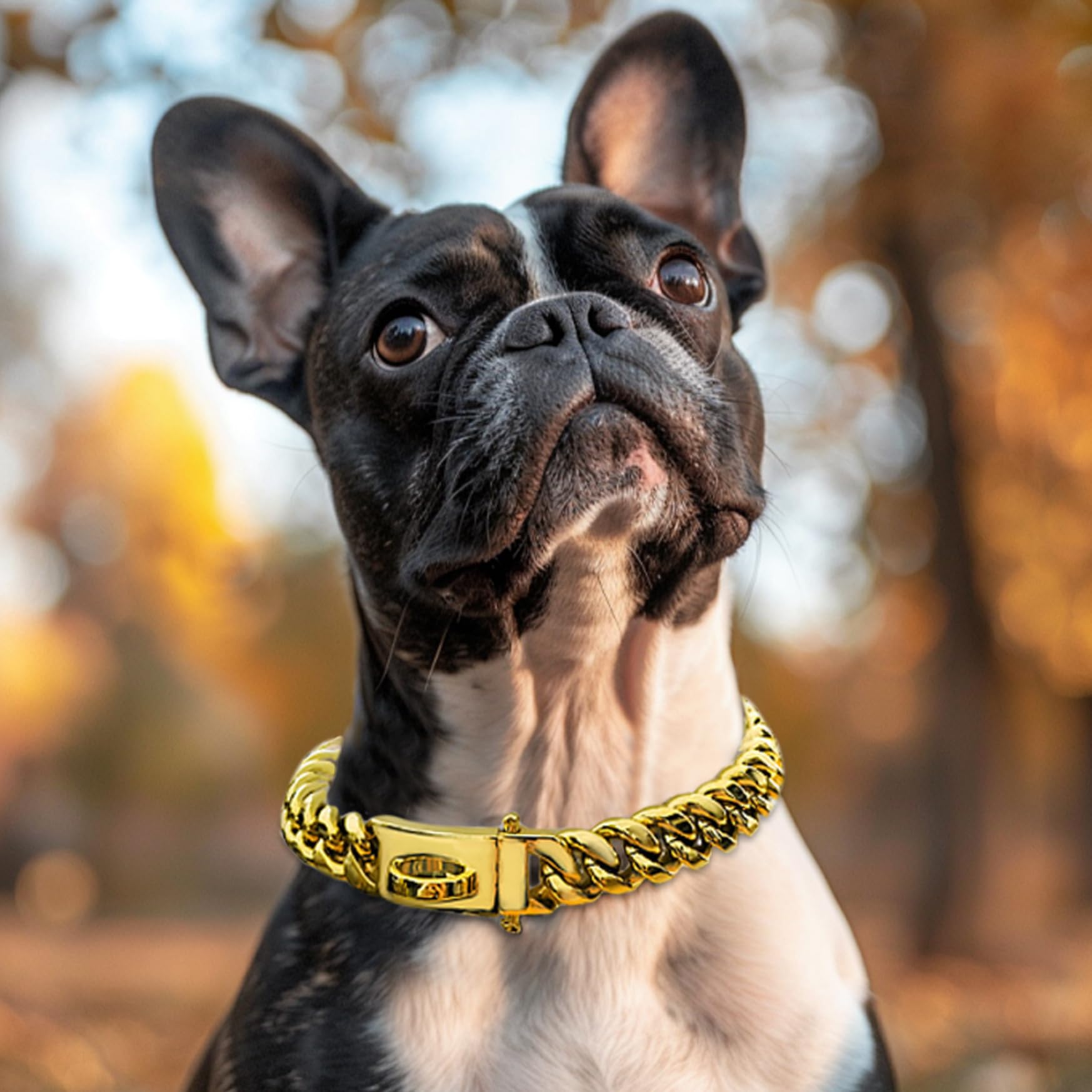 Lot De 19 Pendentifs Chien En Métal - Bijoux Fantaisie Animaux