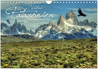 Wild Patagonia - Adventure at the end of the world, US-Version (Wall Calendar 2026 DIN A4 Landscape), CALVENDO 12 Month Wall Calendar