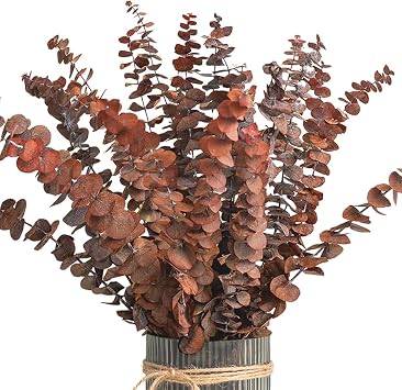 Eucalyptus Leaves/Stems, Natural - Dried - Perserved Eucalyptus, Real Plant, for Wedding, Home Decor, DIY, Total of 25 Pieces Orange,Brown,Earthy