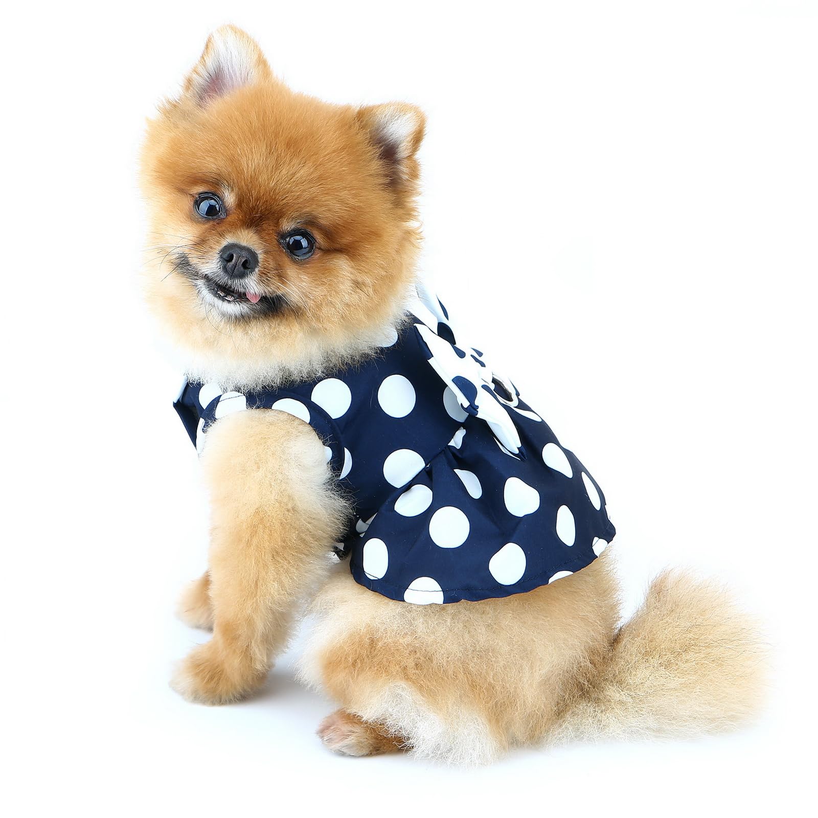 PAIDEFUL Dog Harness Dress,Retro Bow Princess Dresses for Small Dogs Cats Fashion Polka Dot Puppy Pleated Skirt Soft Lightweight Doggy Sundress Button up Chihuahua Clothes Costume D-ring,Blue,M - Image 3