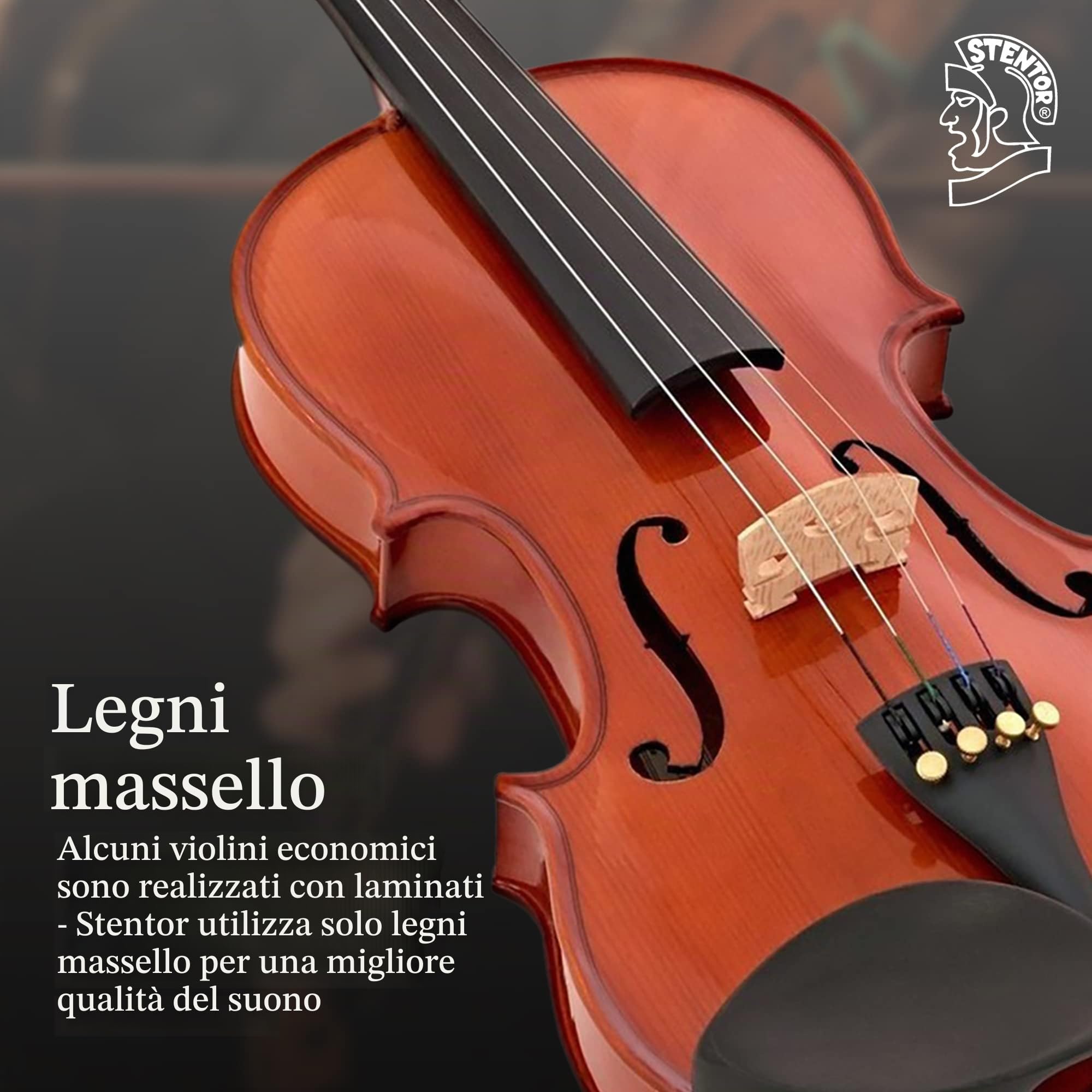 Stentor - Violino standard da studente, misura 4/4,per principianti, con archetto in legno e custodia (1018A - 4/4)