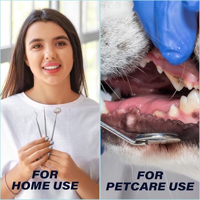 Foto 6 de 6 de OCBA Rascador de doble cabeza de acero inoxidable para eliminar placa de dientes para perros y gatos