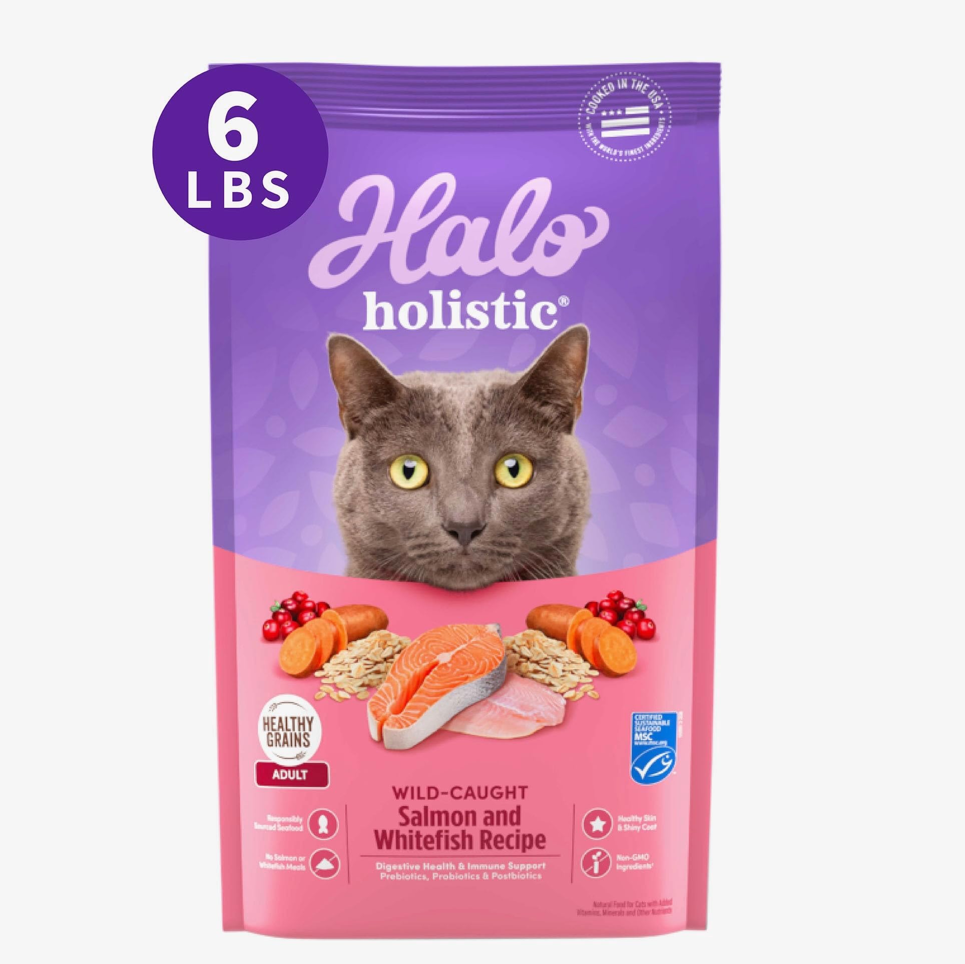 Holistic Cat Food Wild Caught Salmon & Whitefish Formula, Healthy Grains Dry Cat Food, Complete Digestive Health, Kibble for Adult Cats, 6 lb Bag