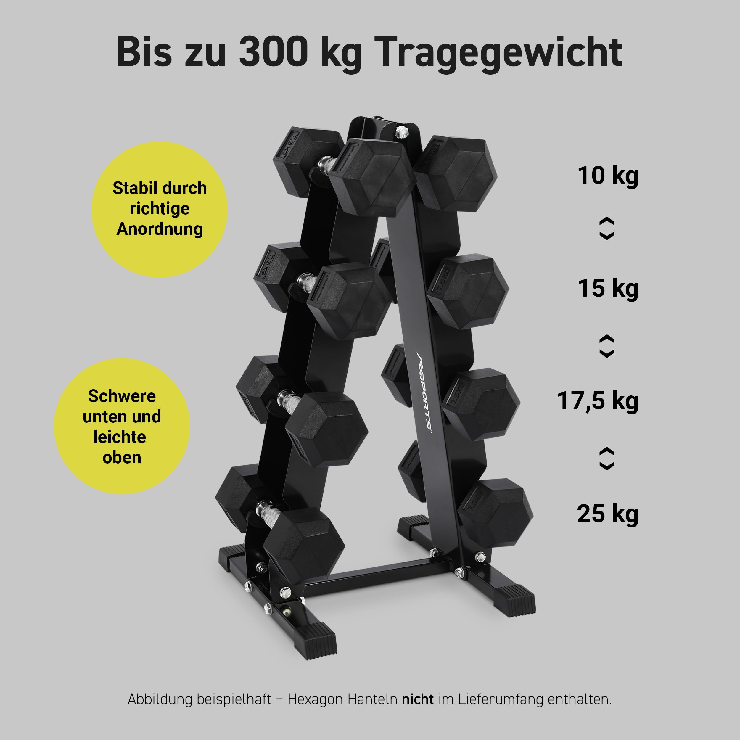 MSPORTS Kurzhantel Rack mit 300kg Belastbarkeit Hantelständer Hantelablage