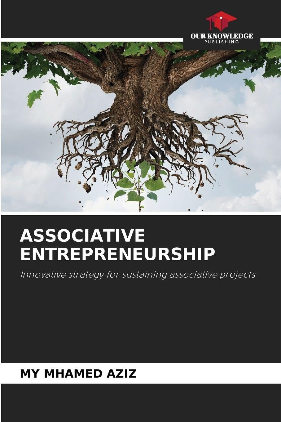 Associative Entrepreneurship: Innovative strategy for sustaining associative projects