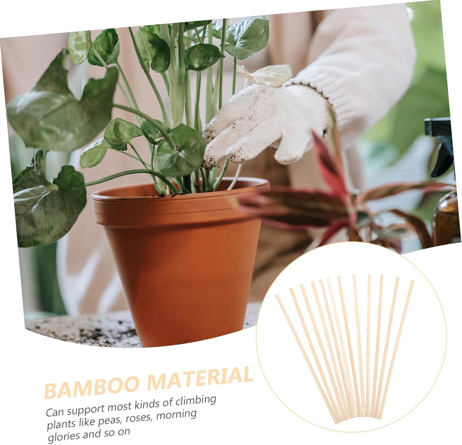 50Pcs Garden Trellis for Climbing Plants Indoor Plant Support Stands for Vines and Flowers Plant Support for Vertical Growth