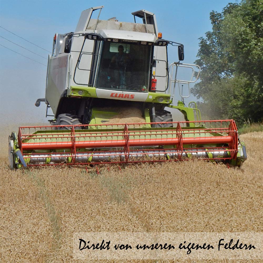 Petigi 30 kg Grain Graines de Blé Aliments pour Animaux Poulet Volaille