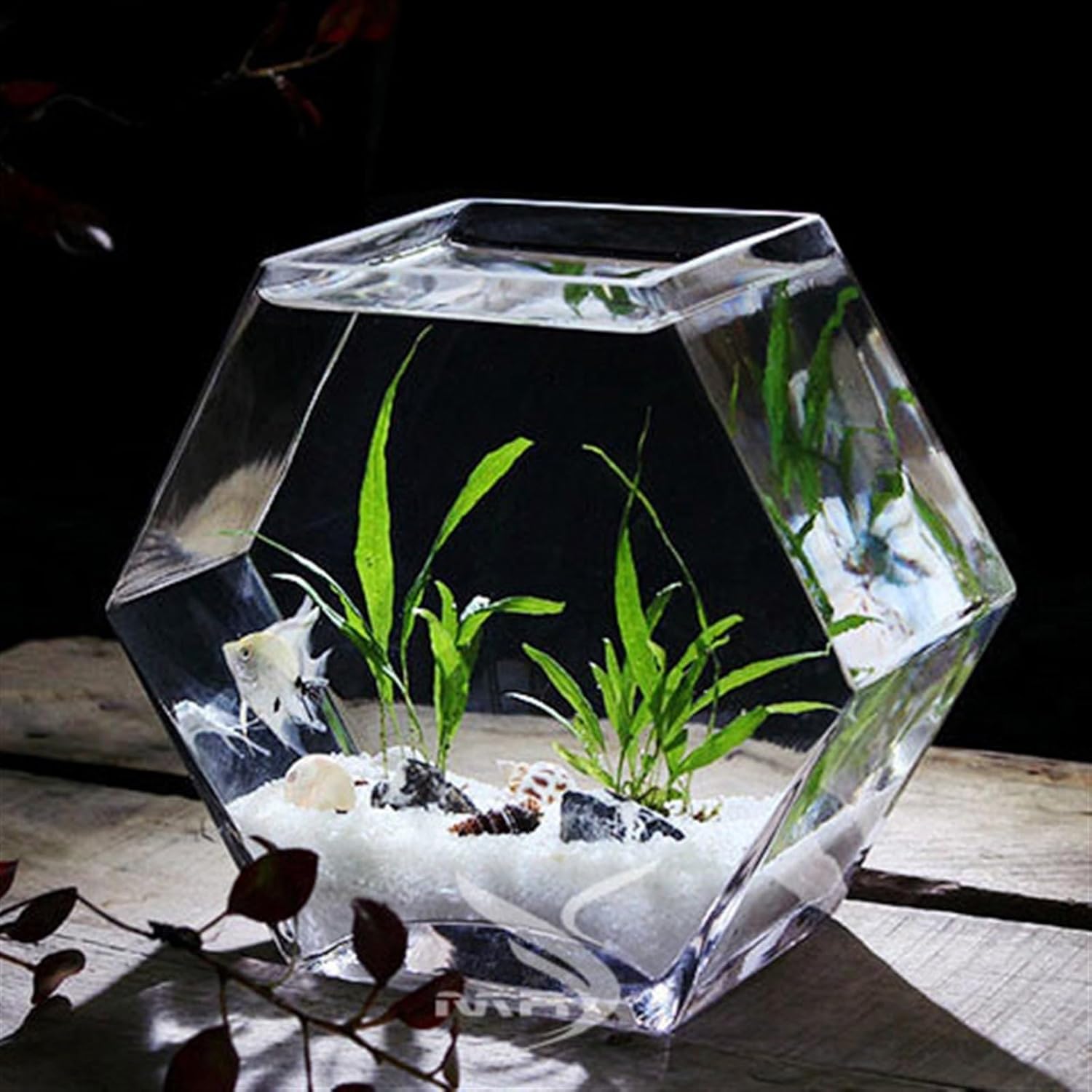 jeijeitiroru アクリル水槽 二種類 アクリル水槽