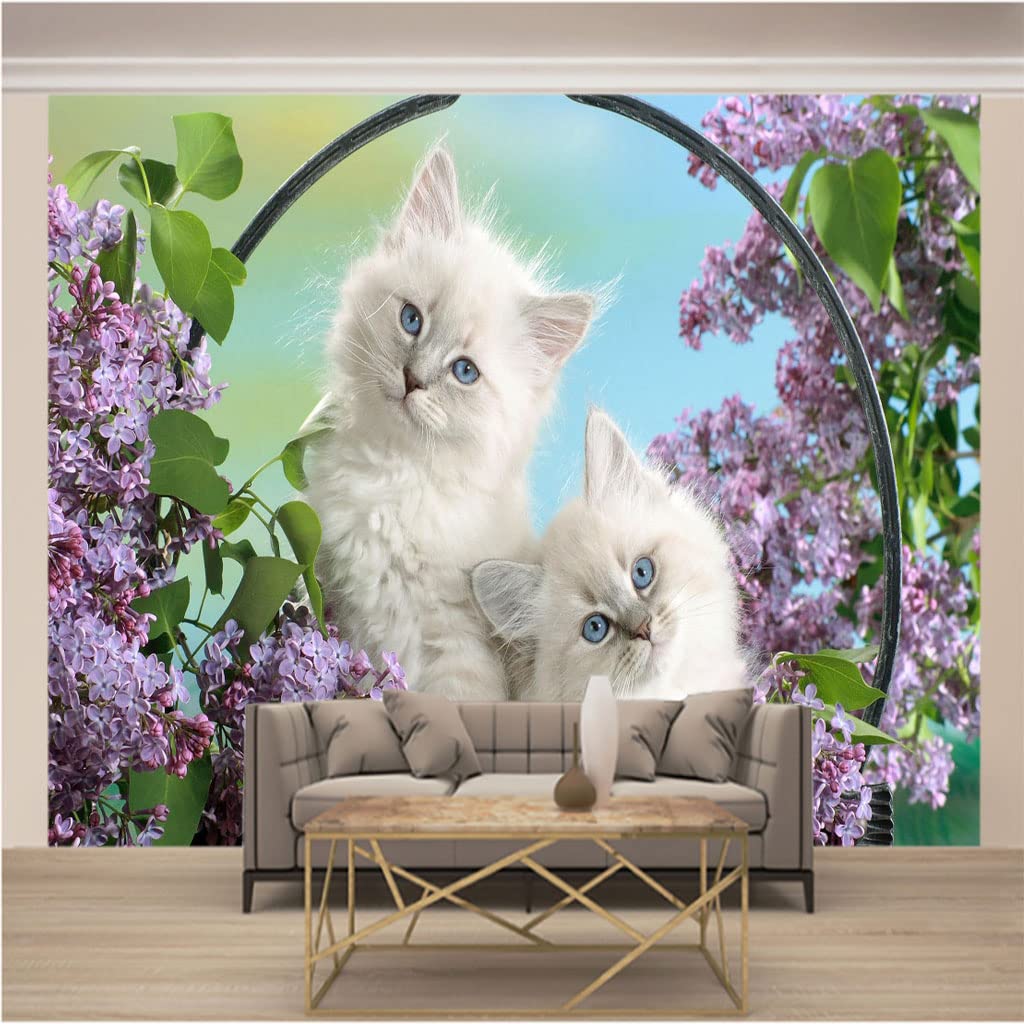 Papier peint panoramique 3D chat mural XL pour transformer l'ambiance de la chambre des enfants
