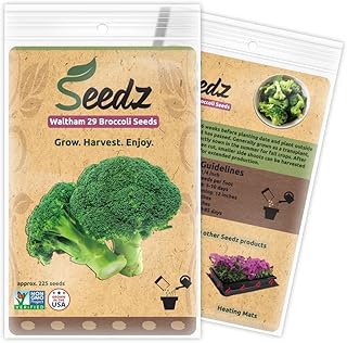 Organic Broccoli Seeds (APPR. 225) Broccoli Planting Seeds - Heirloom Vegetable Seeds - Certified Organic, Non-GMO, Non Hy...