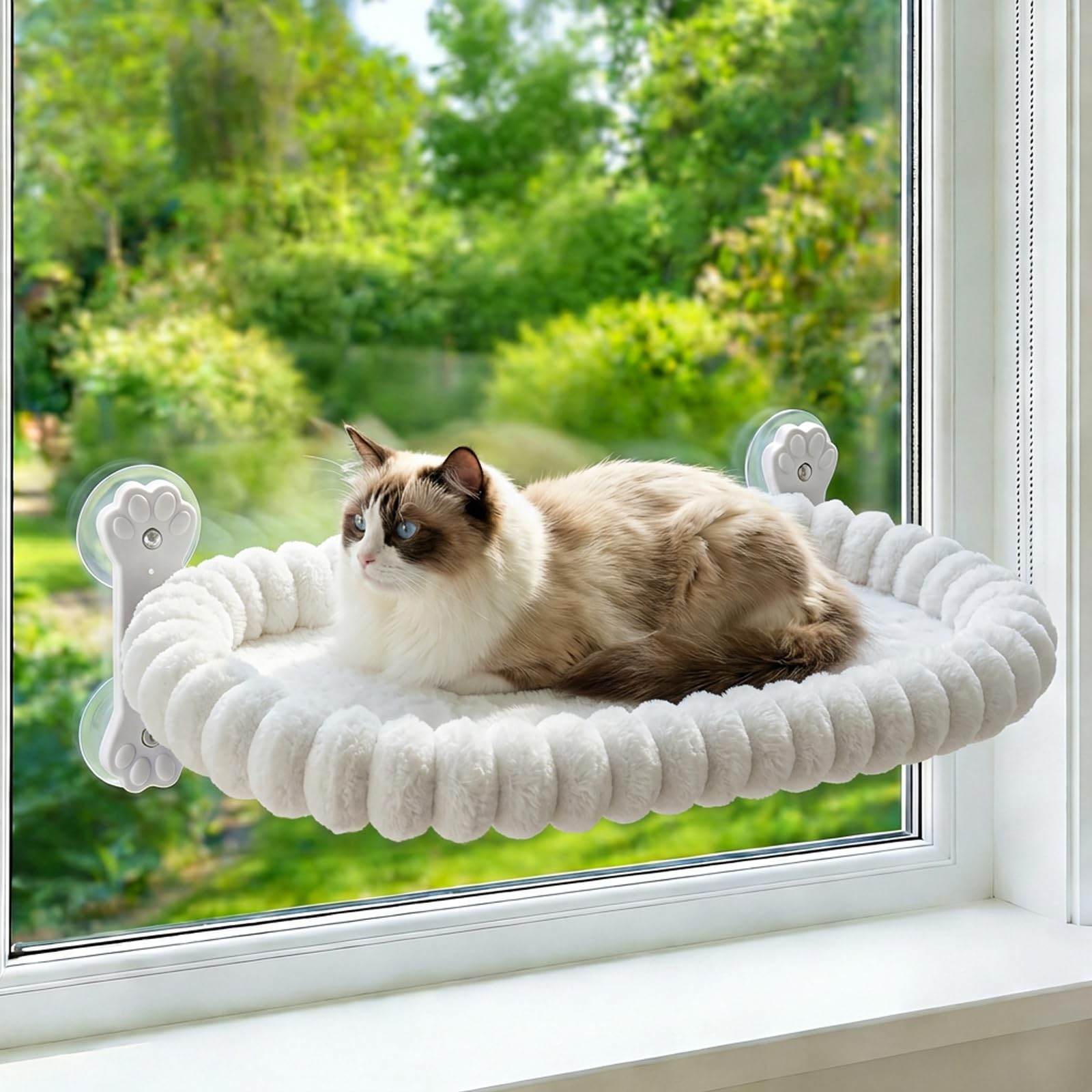 Homegroove Cat Window Perch, 24 x 12 Inch Foldable Cat Hammock for Window with 4-Sided Bolster & 4 Large Suction, Cordless Window Bed for Indoor Cats (White, Large(60x30cm))