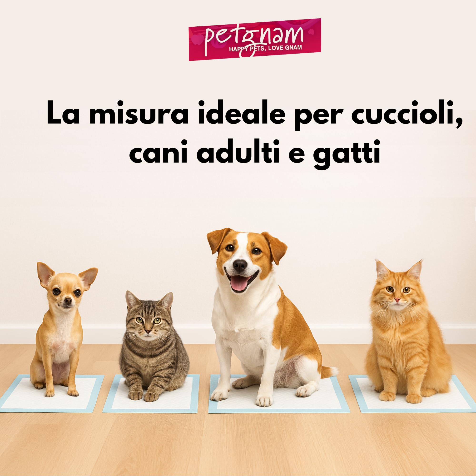 Traversine per Cani a 5 Strati - Tappetini Assorbenti con Gel, Antistrappo e Contro gli Odori - Base Antiscivolo per Cani e Gatti (300, 60x90)