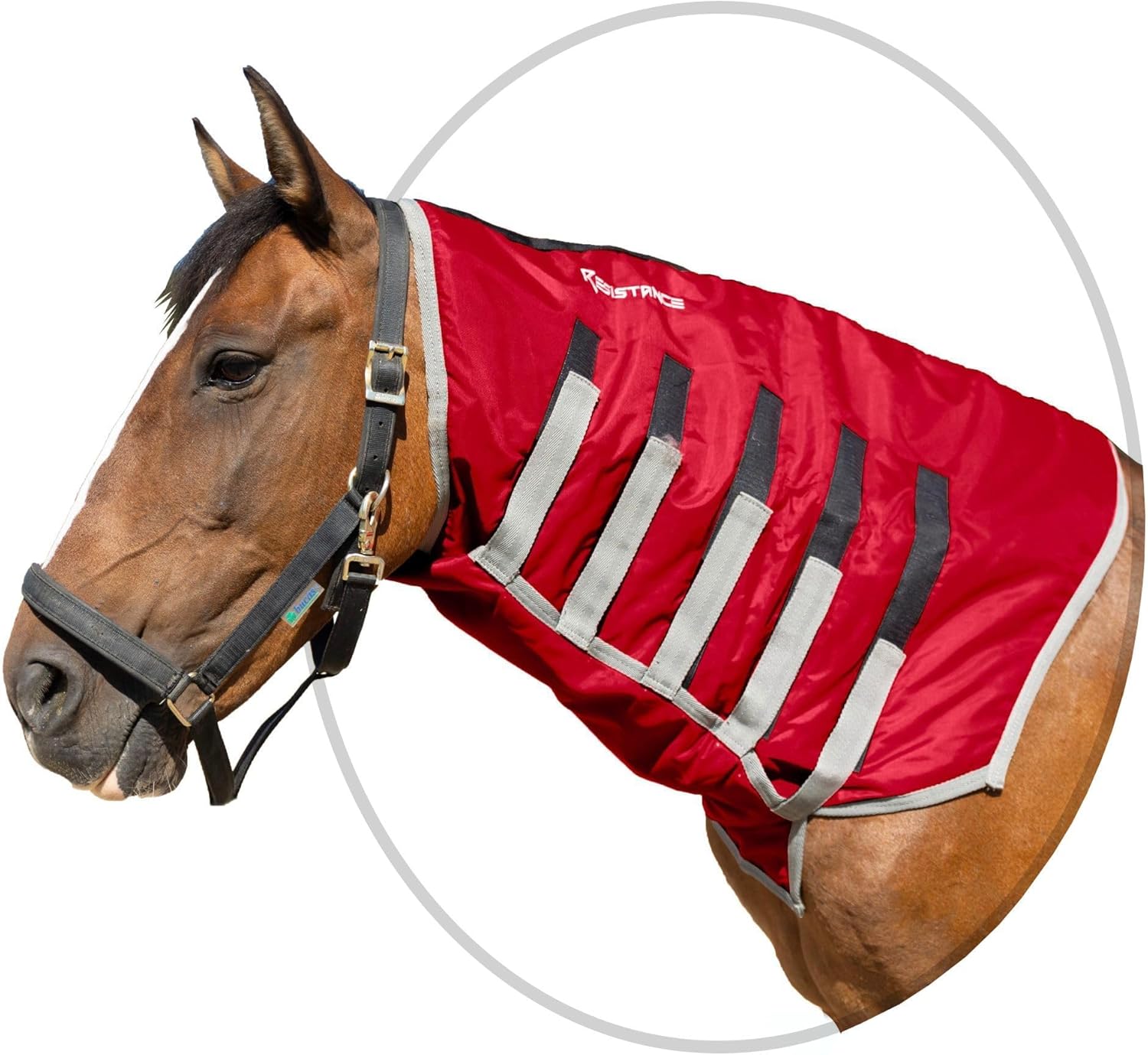 Resistance Lightweight Breathable Horse Sleazy Slickers Horse Care Sheet Neck Cover | Comfortable Waterproof Headless Hood (200 gm Fill)