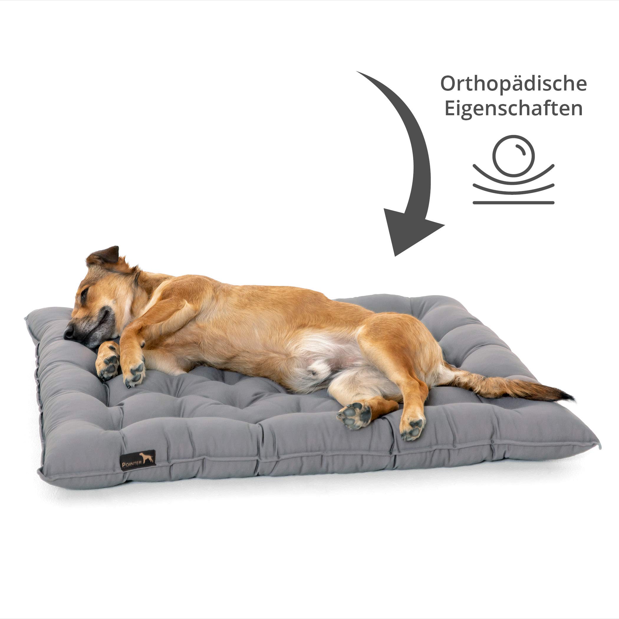Pointer | Urban Hundekissen Kleine Hunde, 50x40 cm - Orthopädisches Hundebett Waschbar bis 95°C, Geruchsfrei, Robust, Indoor & Outdoor, Made in Germany (M - 50x40 cm, Hellgrau)