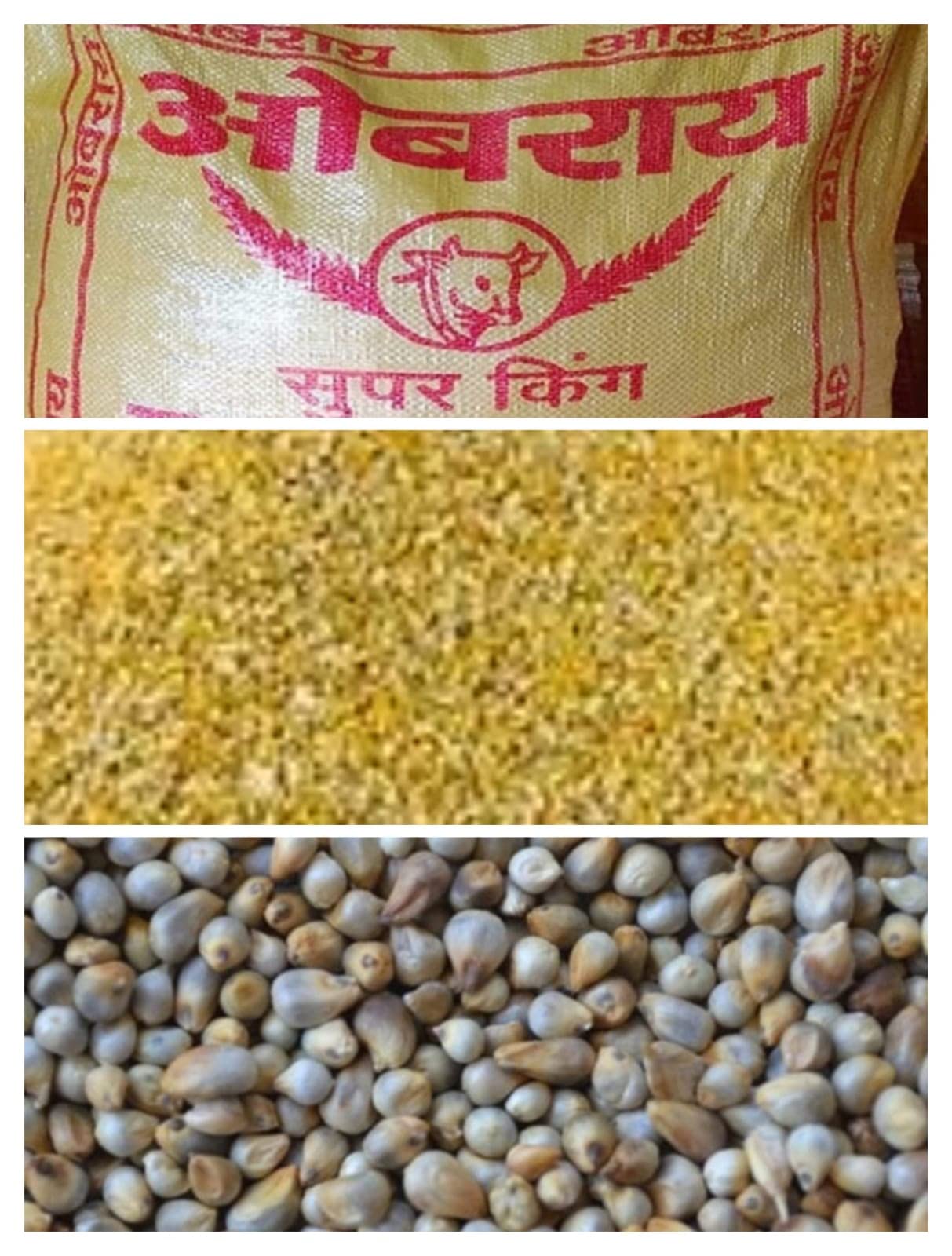 ओबराय - 2000 Gram Bird Food (Combo of Two 1 KG Crack Corn (मक्का का दलिया) + 1 KG BAJRA (KAMBU/SAJJE/Pearl Millet) for - Pigeons, Doves, Finches, Canaries, Parakeets budgerigars, Cockatiels/Treat (B0C4B8NXHB) Amazon Price History, Amazon Price Tracker