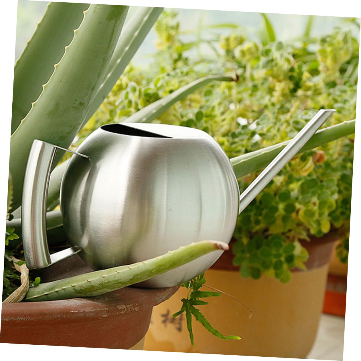 BESPORTBLE 1pezzi Annaffiatoio Inossidabile Beccuccio Per Piante Da e Esterno Design Ergonomico e Facile Ricaricare Resistente e Pratico Per Giardinaggio
