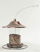 Vista 7 de Wagner's 53003 Farmer's Delight - Alimento para pájaros silvestres con sabor a cereza, bolsa de 20 libras