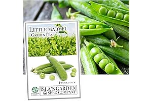 Sweet Peas: Heirloom Seeds for Abundant Blooms