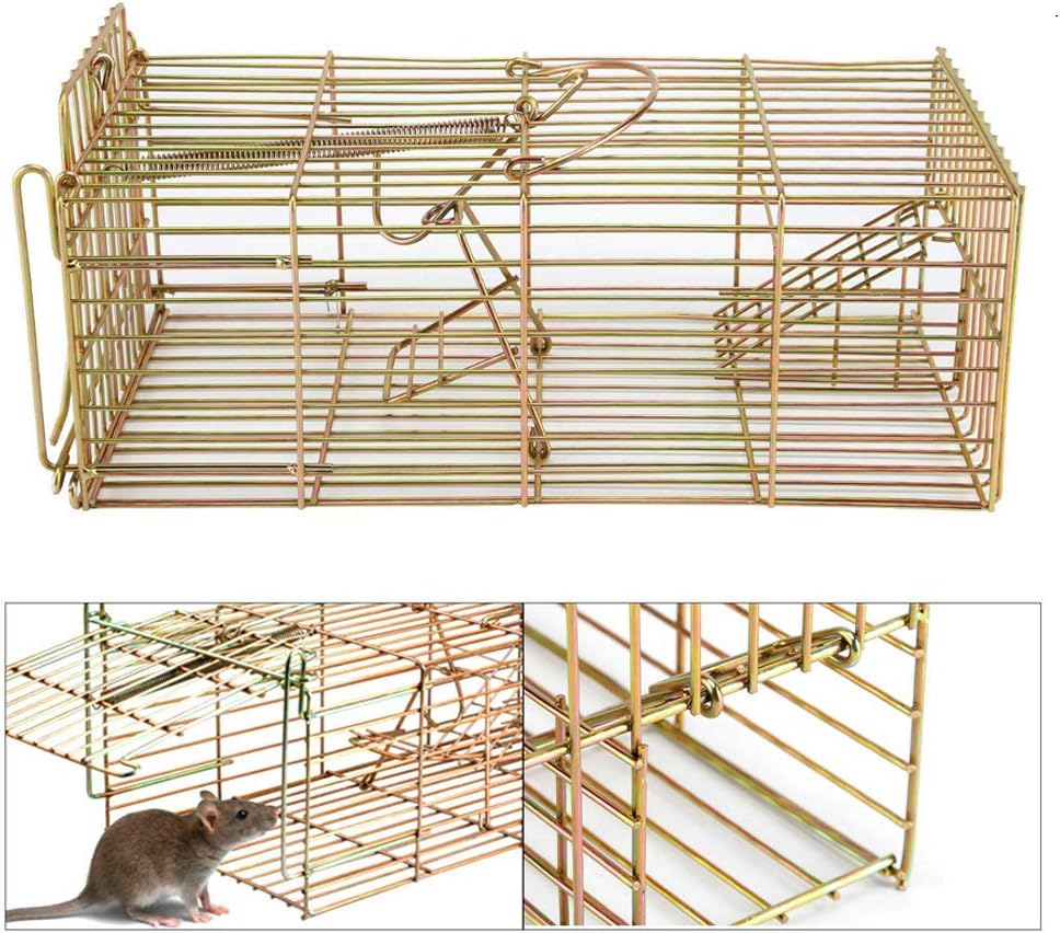 METAL MOUSE RAT AND SQUIRREL CAGE TRAP LIVE CATCH HUMANE NO POISON VERMIN RODENT