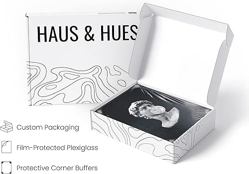 Miniatura 4 de Haus and Hues Póster de goma negra de David Michelangelo – Imágenes para decoración de pared de dormitorio, imágenes estéticas negras estéticas para