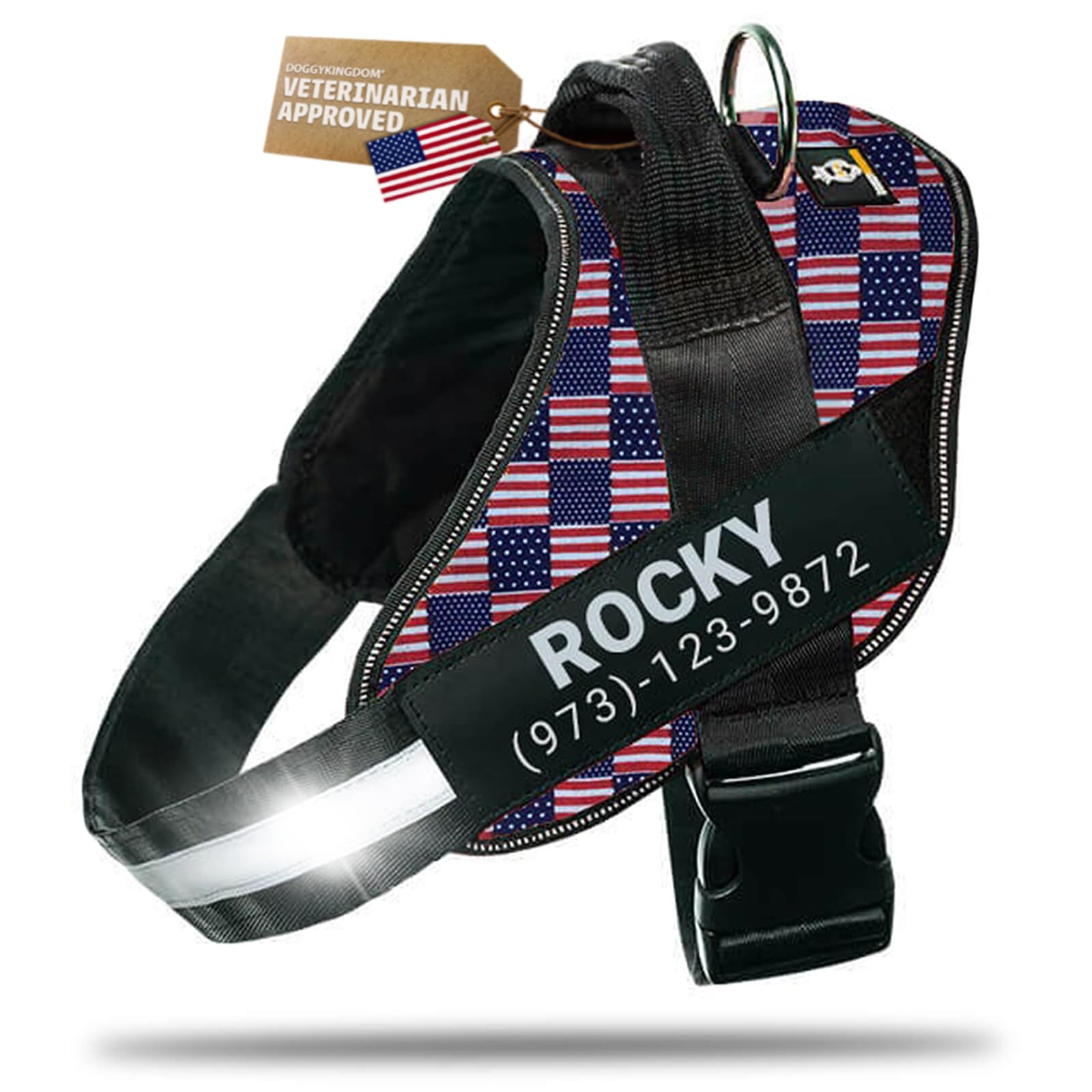 DOGGYKINGDOM Personalized Dog Harness with Custom Name Patches, No Choke, Reflective, Adjustable, Soft Padded Dog Vest Harness with Easy Control