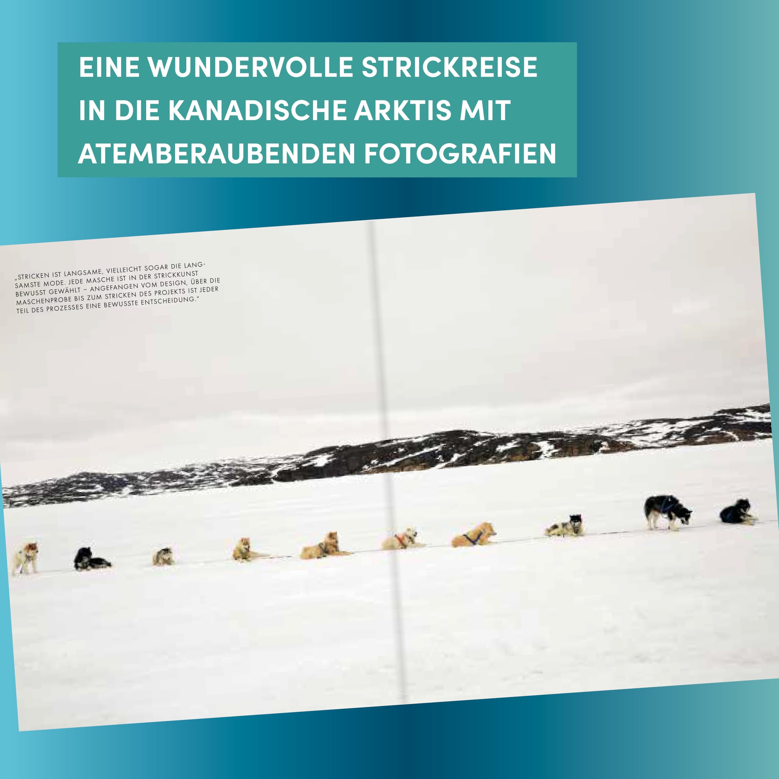 Arctic Knits: Pullover, Socken, Mützen und Handschuhe stricken