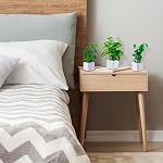 MyGift Artificial Assorted Plants Faux Tabletop Greenery in White Square Ceramic Pots, Set of 3