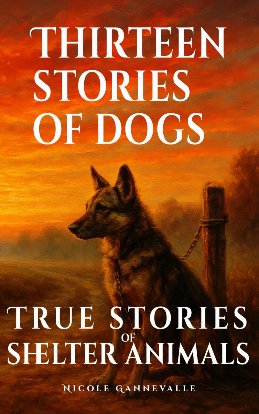 Thirteen Stories of Dogs: True Stories of Shelter Animals
