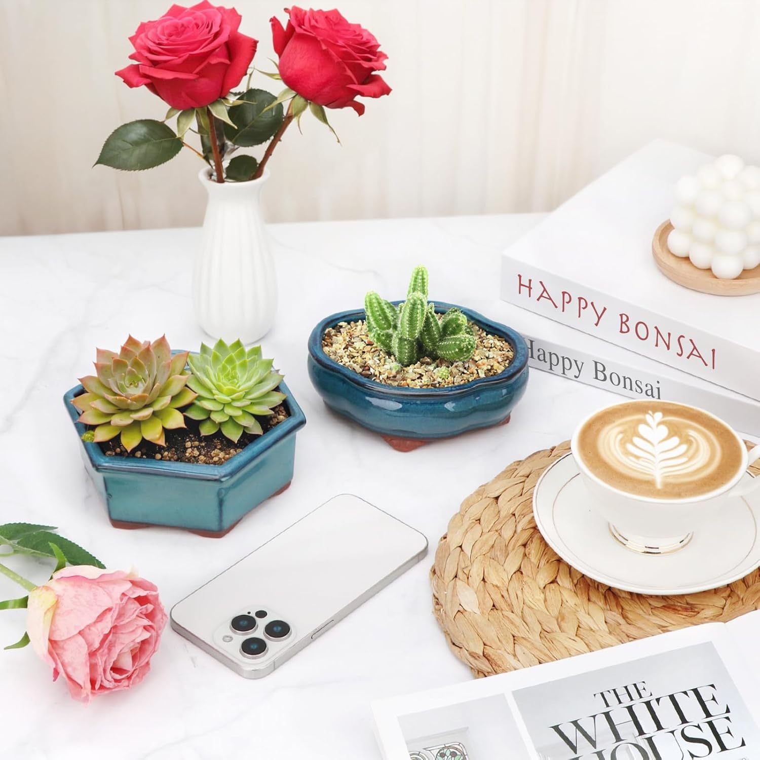 Bonsai Planter 5.7" 6" Small Succulent Glazed Pots Set of 2 + 6 Soft Mesh Drainage Screens