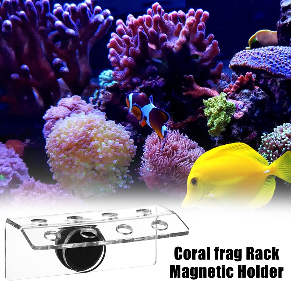 MiOYOOW Coral Frag Rack Bracket, tappo a 4/8 fori, telaio in acrilico con ventosa magnetica per acquari