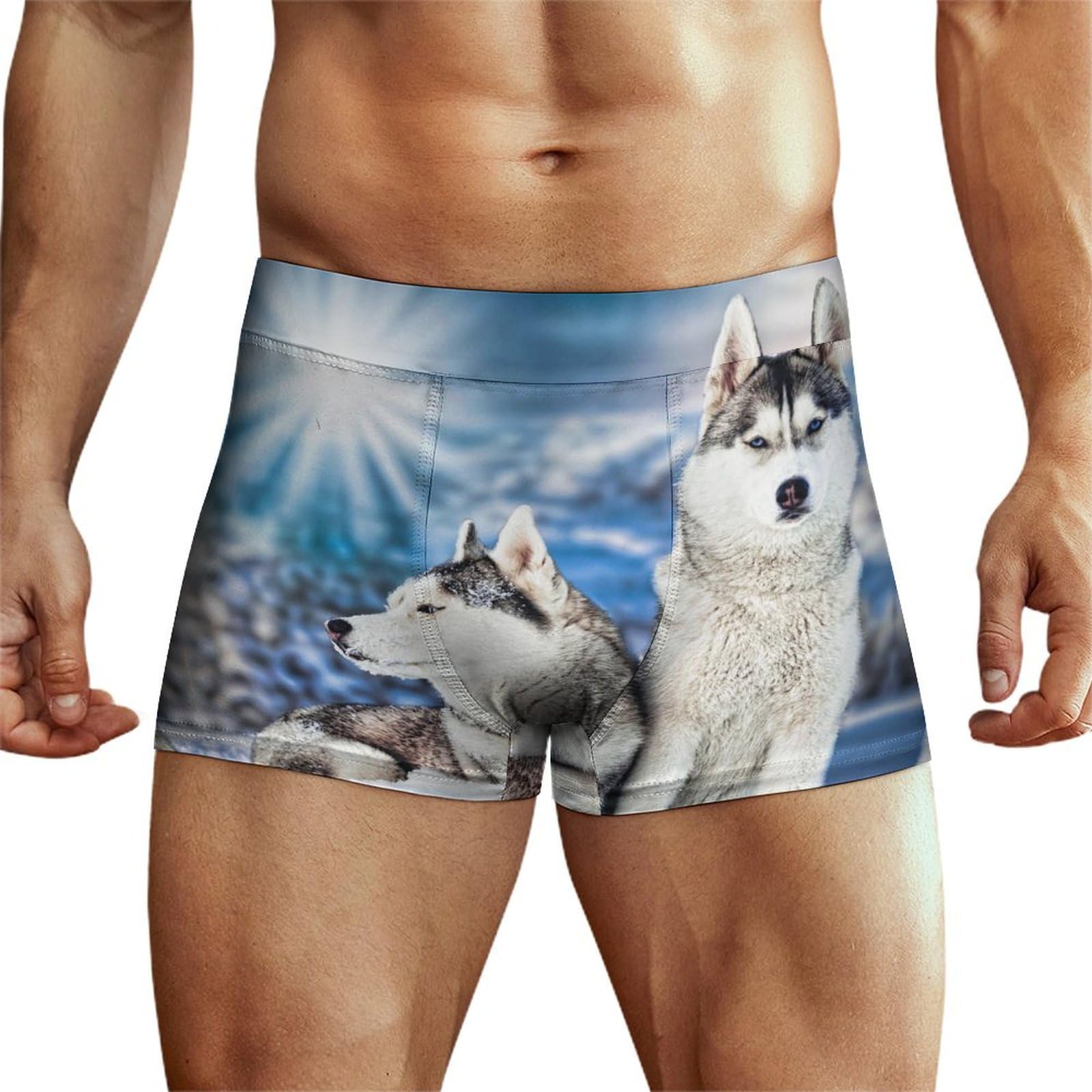 Niapessel Men's Boxer Briefs, Men's Underwear Boxer Brief, Breathable Comfort Flex Fit Novelty Boxers Briefs for Men, Siberian Husky in Winter, S