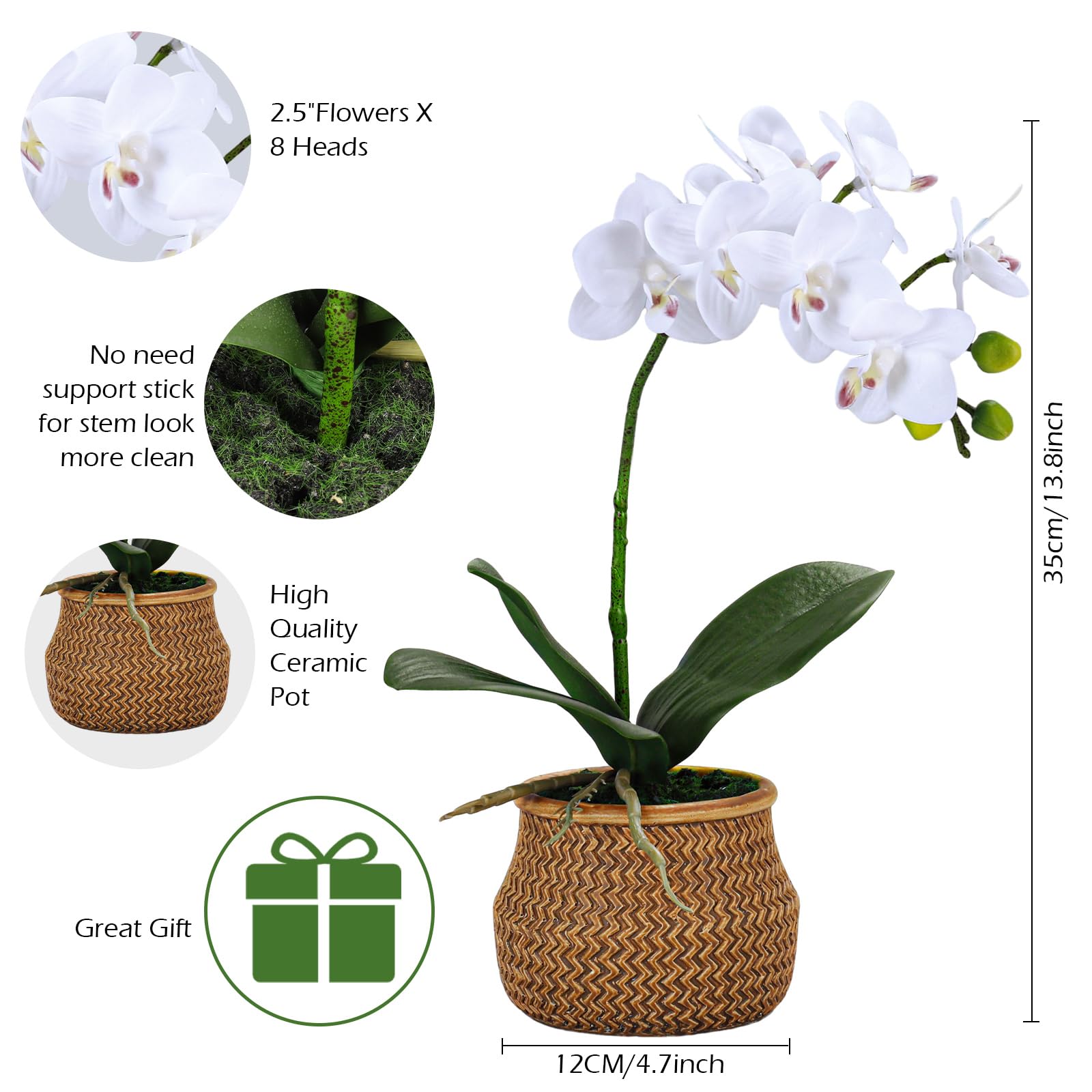 Avoeco Orchidee artificiali in vaso, vero tocco, bonsai Phaleanopsis artigianale, piccole orchidee finte, fiori finti di orchidea bianca con vaso in ceramica, perfetti per casa, ufficio, hotel