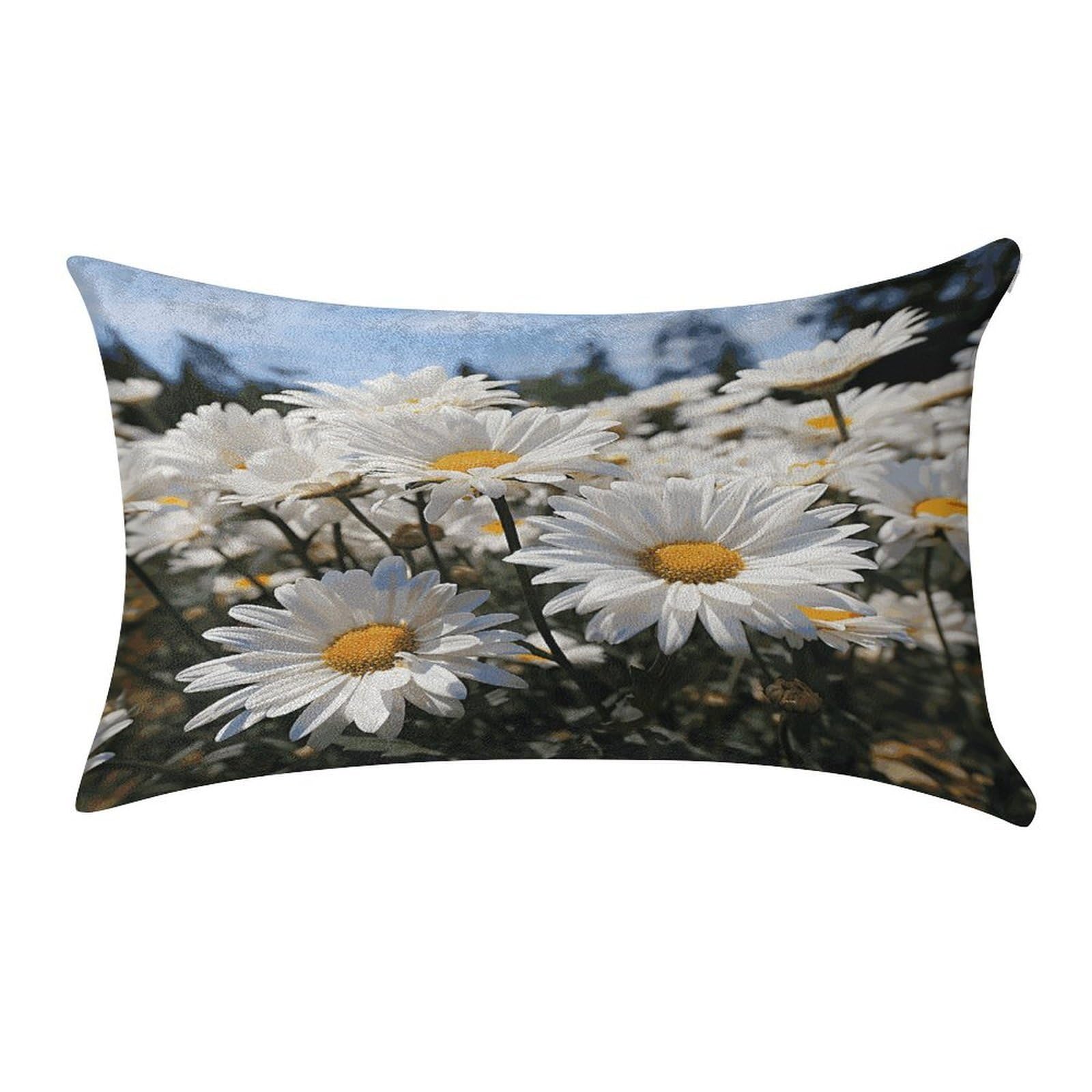 LDGSUPH Wild White Daisies Velvet Throw Pillow Covers Cozy Pillow Shams Pillowcases Detachable Pillow Cases Soft Cushion Cover with Zipper for Sofa Car Bed Pillow Protectors 12 "×20 "