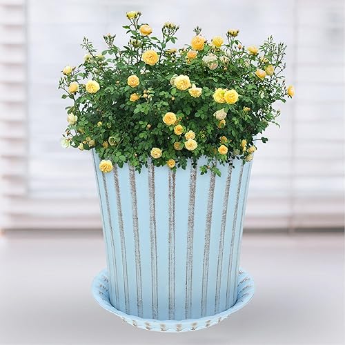 Miniatura 8 de Happyyami 2 juegos de macetas de orquídeas macetas decorativas para bonsái, maceta de interior con macetas de drenaje para plantas, macetas para