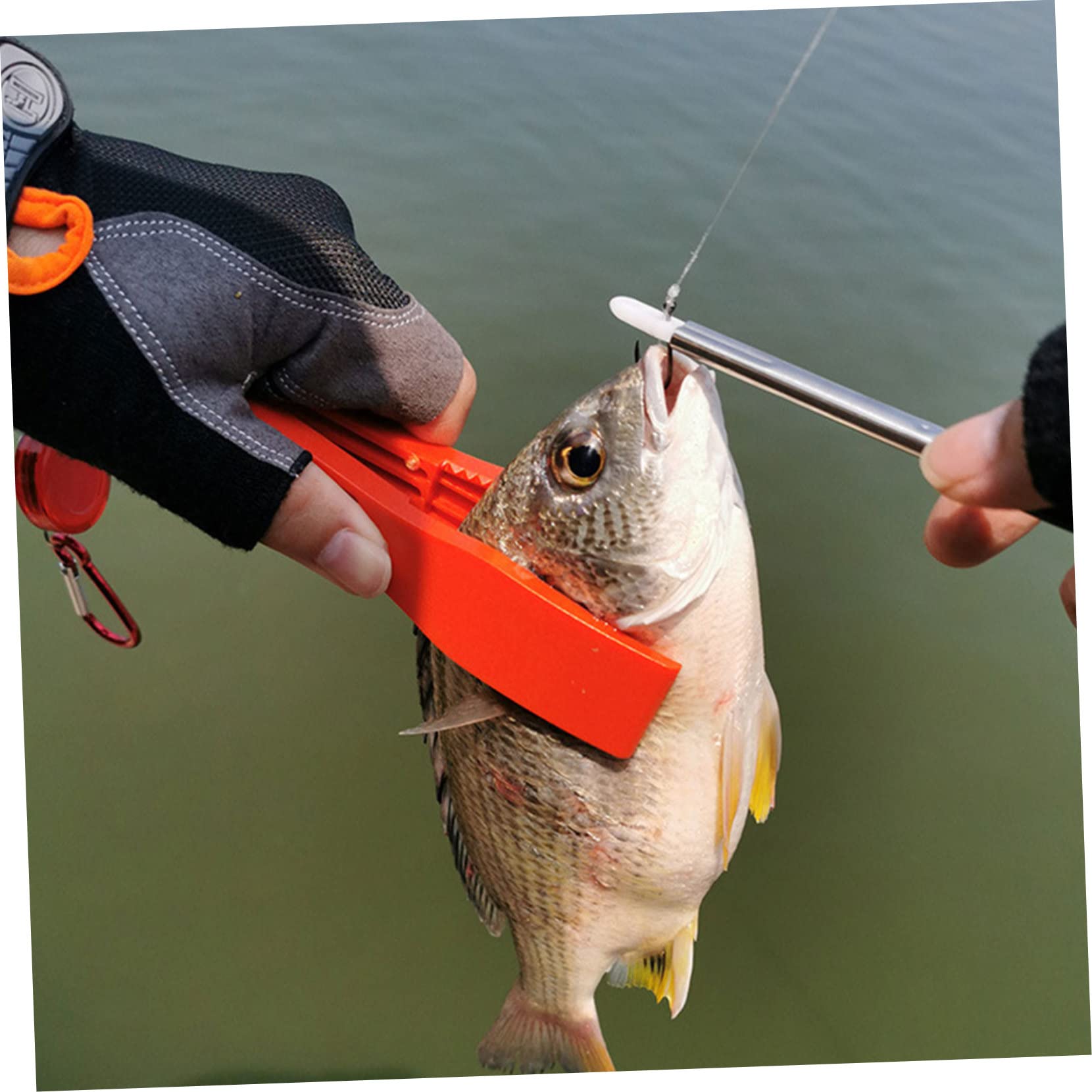 Toyvian Coleccionista de Gancho de Acero Inoxidable Herramienta Gancho de Pesca Agente de mudanzas abordar Separador de anzuelos de Pesca de anzuelos AbS