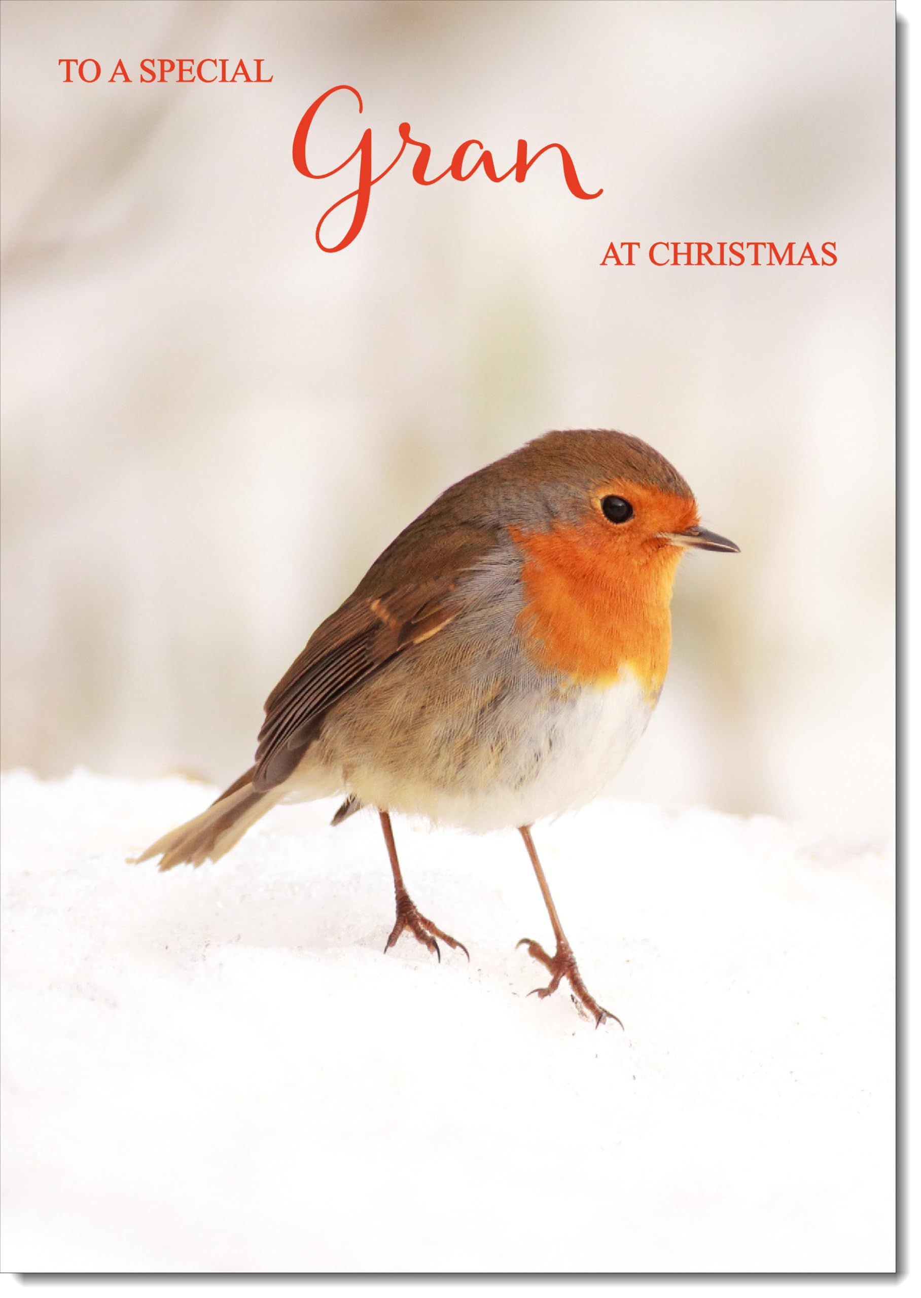 doodlecards Gran Christmas Card Robin on Snow Large A4 Size Christmas Card for Gran with Plain Envelope — image 1
