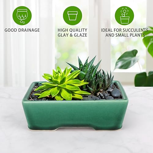 Miniatura 6 de Zisha - Juego de 2 macetas de arcilla blanca para bonsái esmaltadas poco profundas, color verde