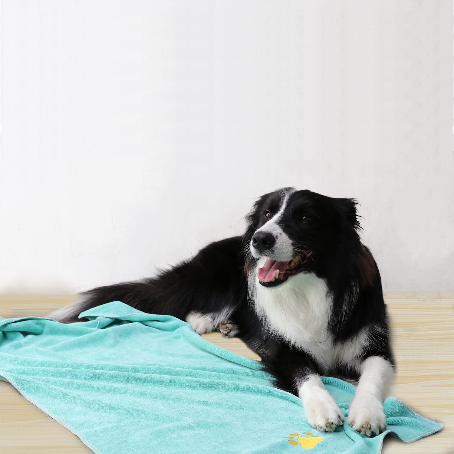 IEDASING'S CHOICE Dog Towel Microfiber Pet Towel Beach Towel Embroidered Paw Pattern Ultra-Absorbent Soft & Fast Drying Suitable for Dog Bathing Beach Travel , Large Size, Mint Green, 20"x40"