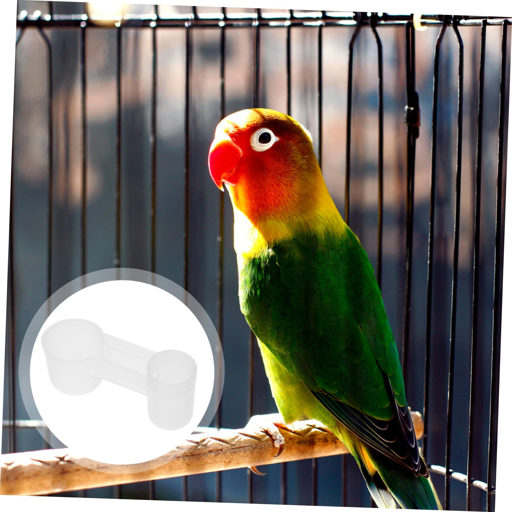 Abbeveratoio per Uccelli Pigeon Autodrinker a Doppia Uscita | Plastica Bianca, Confezione da 10 Pezzi, Uso Casa e Zoo, Pulizia Semplice e Struttura Resistente