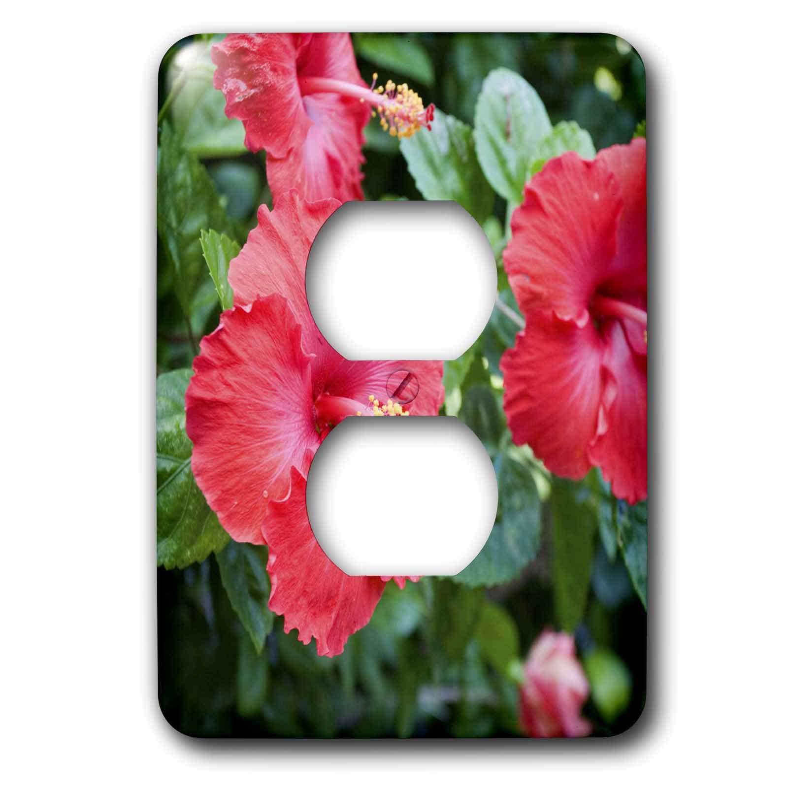Fleur d'hibiscus rouge plaque 2 prises lsp_83396_6 par Douglas Peebles