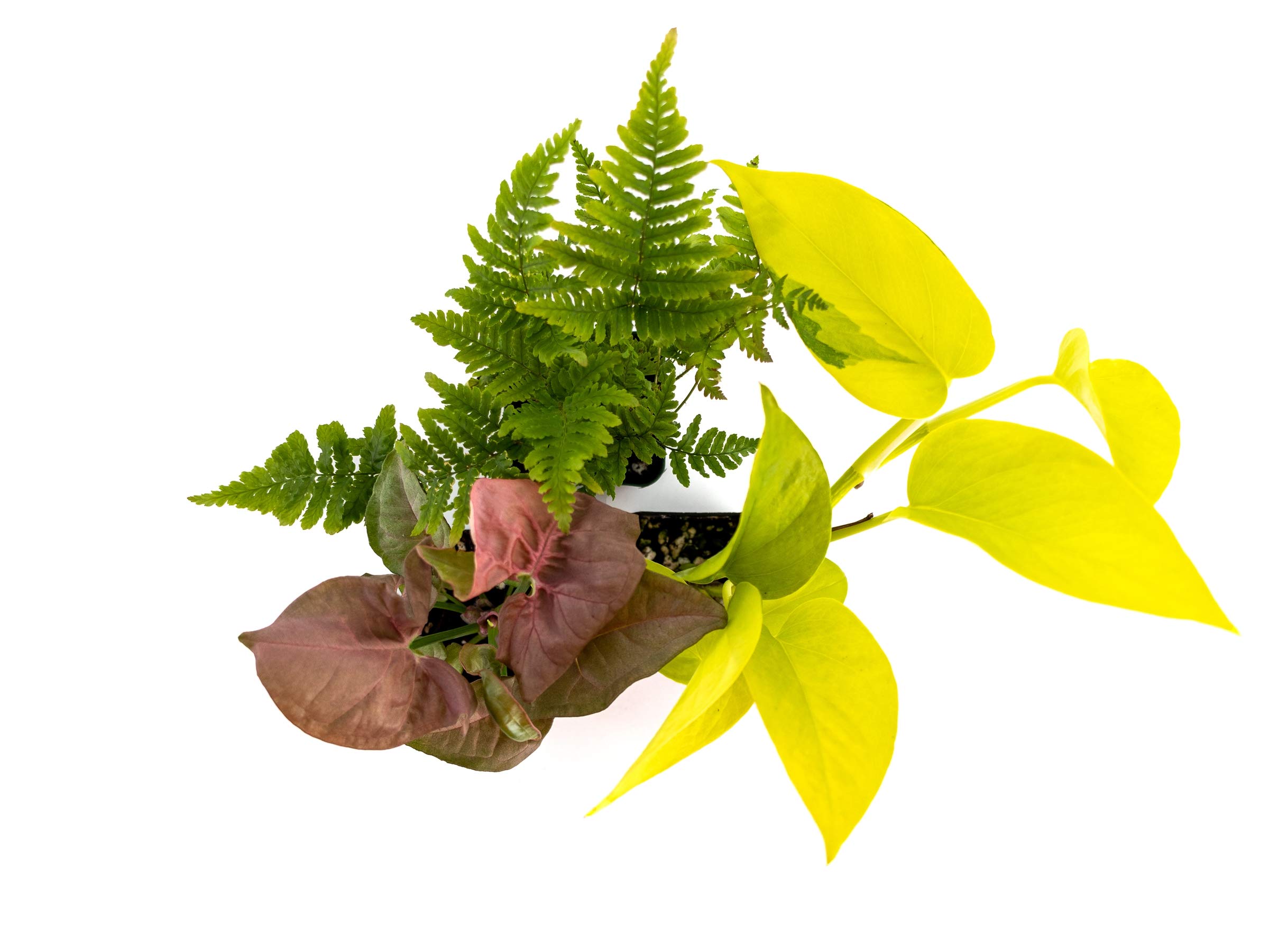 fabric planting containers Grow Bags