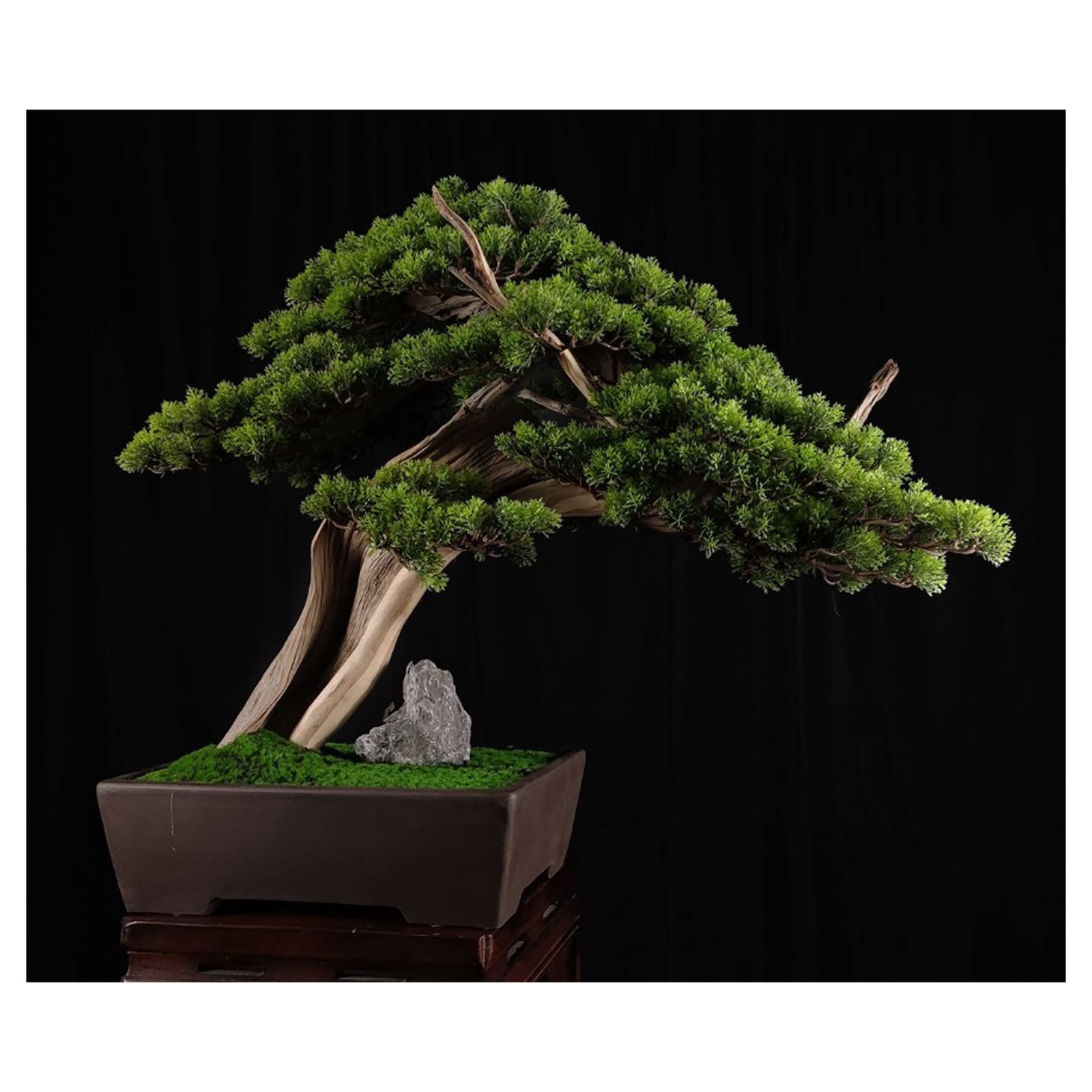 CAFIEDR Artificial Bonsai Artificial Tree Bonsai Artificial Potted Plant Indoor Entrance Green Plant Decoration Chinese Interior Decoration Fake Tree With Ceramic Flower Pot For Home.