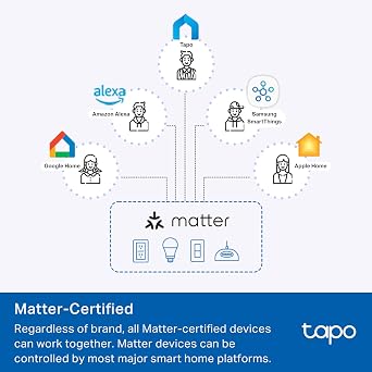 Tapo Smart Plug, Wi-Fi in-Wall Outlet, P210M, Matter Compatible | Energy Monitoring, 15A/1800W Max, Works with Alexa, Apple Home, Google Home, SmartThings, Voice/Remote Control, ETL Certified